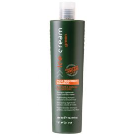 Inebrya Ice Cream Green Post-Treatment shampoo 300 mL
